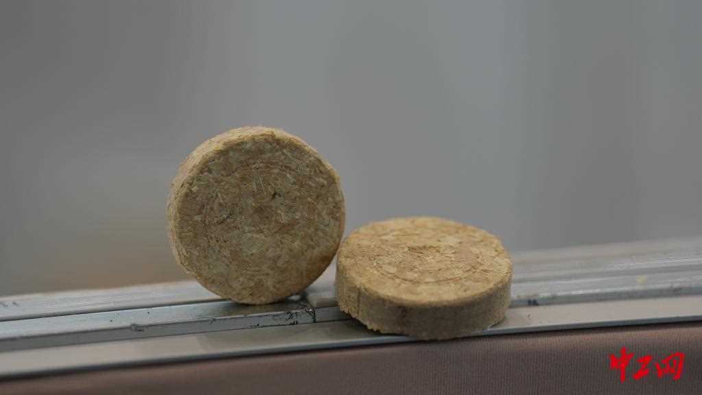 20260227081735-69a1531f85f1f.jpg 从会“生长”的徽章到可“循环”木屑 这届大赛绿意满满