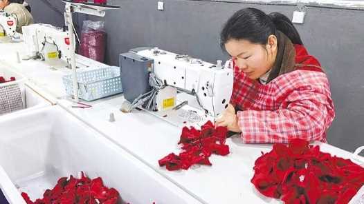 20260227083400-69a156f886e01.jpg 带潮玩生产线回村创业