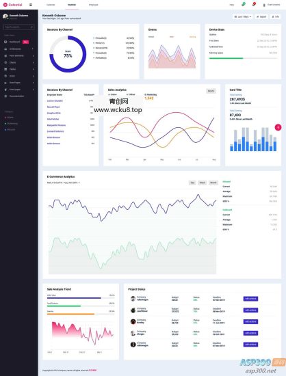 可视化后台数据仪表盘网站源码 html5模板网赚项目-副业赚钱-互联网创业-资源整合歪妹网赚