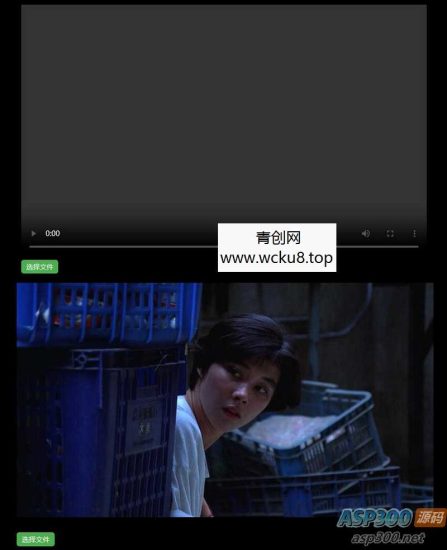 H5视频播放器源码_支持本地选择视频播放，带截图功能网赚项目-副业赚钱-互联网创业-资源整合歪妹网赚