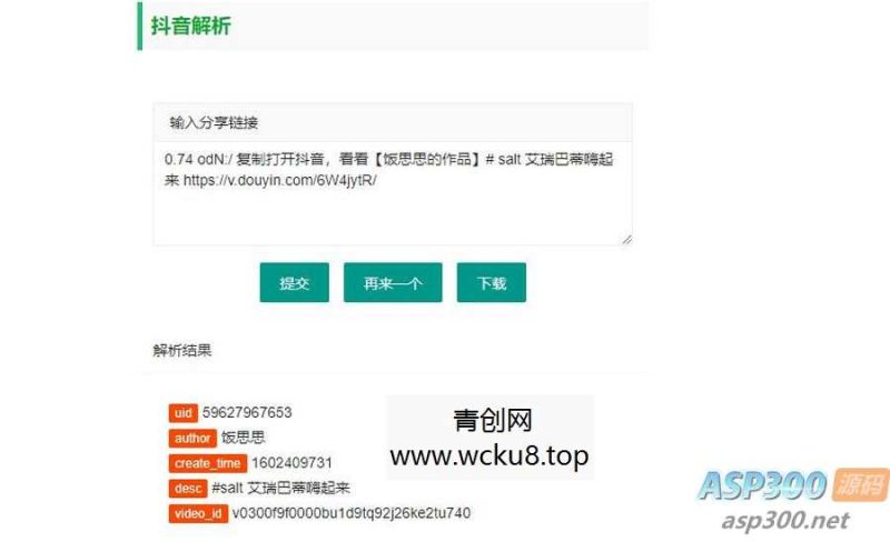 2023最新抖音解析无水印视频下载html源码网赚项目-副业赚钱-互联网创业-资源整合歪妹网赚