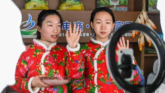 “村播妇联”与“她乡好货”同频共振网赚项目-副业赚钱-互联网创业-资源整合歪妹网赚