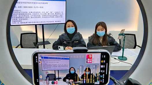 央国企事业单位直播带岗青海专场活动举办网赚项目-副业赚钱-互联网创业-资源整合歪妹网赚