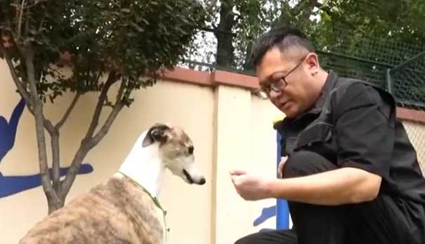 新消费业态催生新需求 一批职业“上新”为美好生活注入新活力网赚项目-副业赚钱-互联网创业-资源整合歪妹网赚