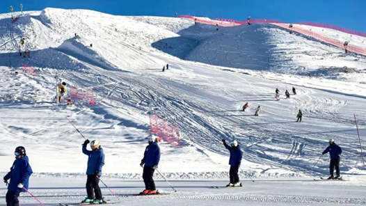 谁在守护长白山雪道？这群“雪季匠人”藏不住了！网赚项目-副业赚钱-互联网创业-资源整合歪妹网赚