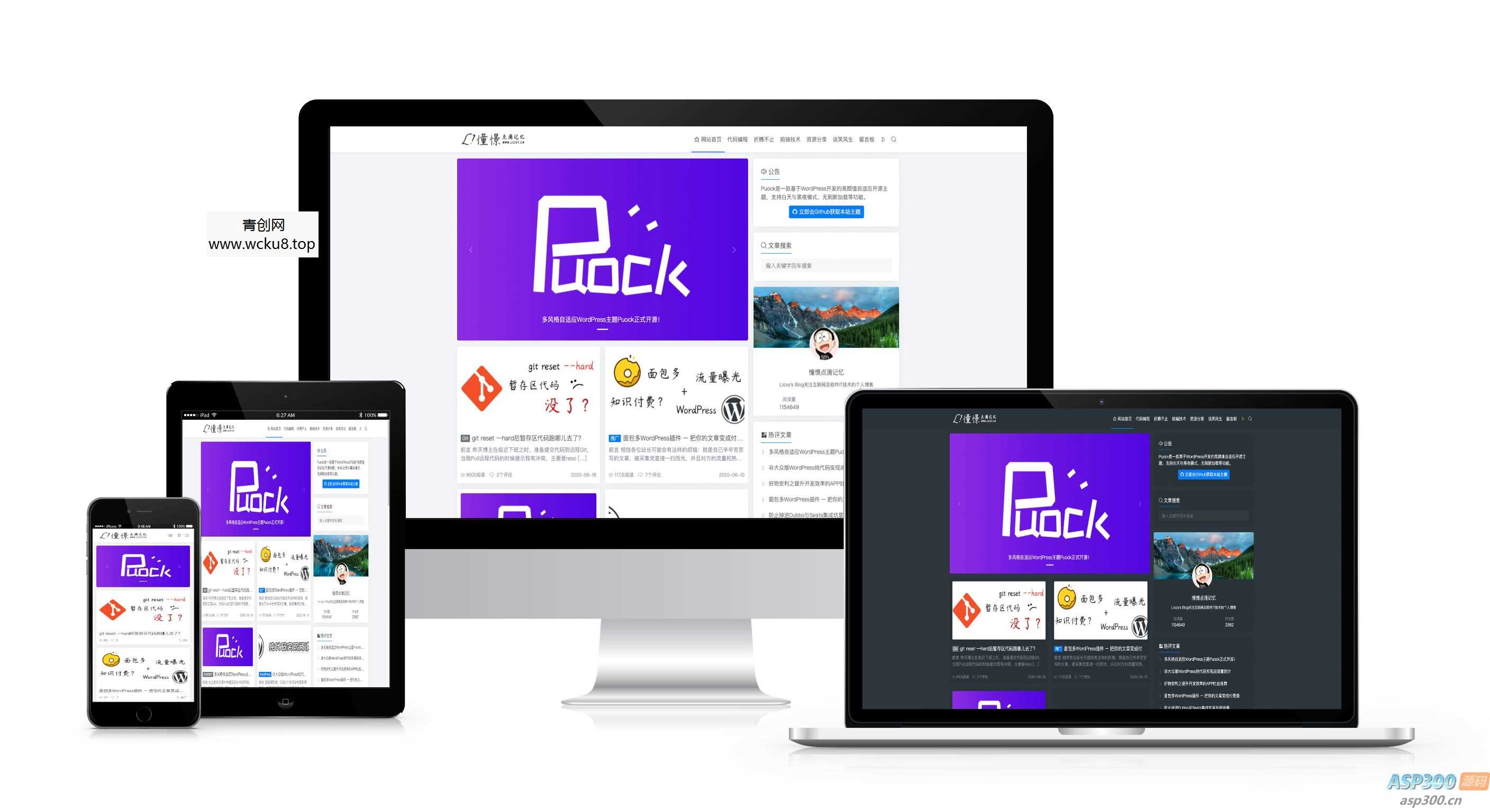 巨美毛玻璃个人引导页源码