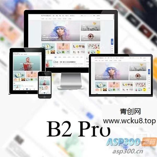 WordPress B2 Pro 主题5.2.0最新版本,欢乐版,包含官方包体和授权文件网赚项目-副业赚钱-互联网创业-资源整合歪妹网赚