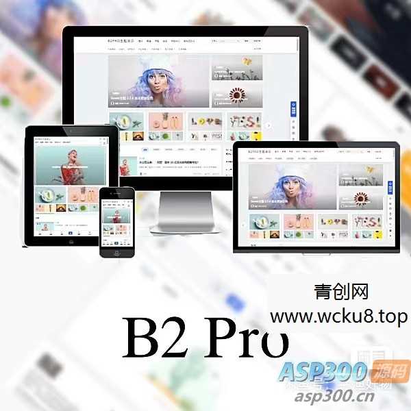 WordPress B2 Pro 主题5.2.0最新版本，欢乐版，包含官方包体和授权文件网赚项目-副业赚钱-互联网创业-资源整合歪妹网赚