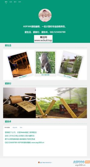 简约绿色个人介绍网站html源码网赚项目-副业赚钱-互联网创业-资源整合歪妹网赚