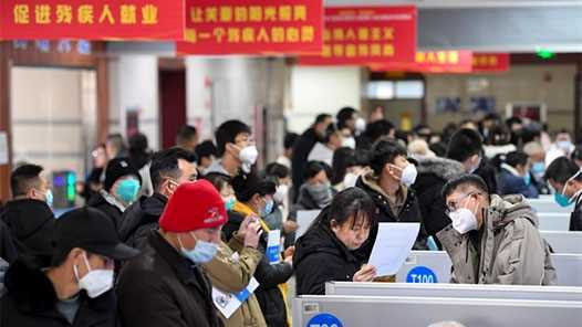 2025年内蒙古新增残疾人就业10529人网赚项目-副业赚钱-互联网创业-资源整合歪妹网赚