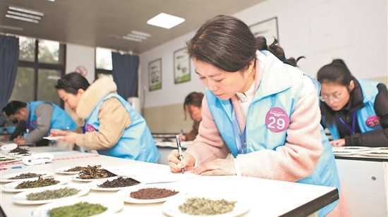 “新茶人”大比武网赚项目-副业赚钱-互联网创业-资源整合歪妹网赚