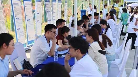 2025年海南城镇新增就业17.78万人网赚项目-副业赚钱-互联网创业-资源整合歪妹网赚