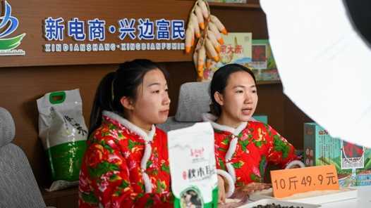 湖北省“新春创业服务月”将扶持直播带货等新业态网赚项目-副业赚钱-互联网创业-资源整合歪妹网赚