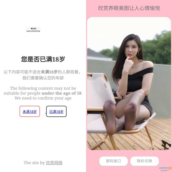 欣奇随机美图源码网赚项目-副业赚钱-互联网创业-资源整合歪妹网赚