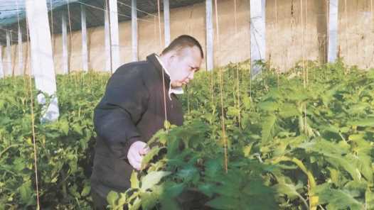 陕西加强残疾人职业技能和实用技术培训 为残障群体就业铺路搭桥网赚项目-副业赚钱-互联网创业-资源整合歪妹网赚