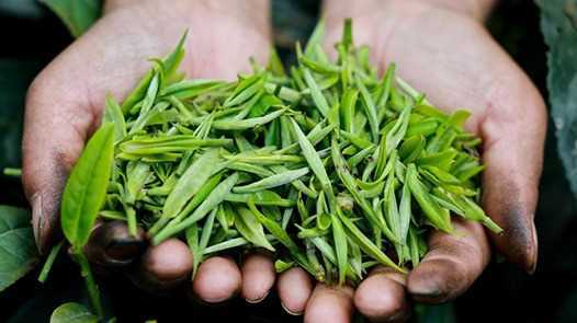 湖南武陵源劳务经济提质增效网赚项目-副业赚钱-互联网创业-资源整合歪妹网赚