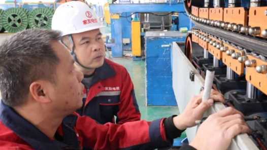 重点群体稳就业丨政策护航 助残就业绘就新图景网赚项目-副业赚钱-互联网创业-资源整合歪妹网赚