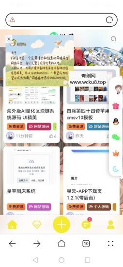 WordPress插件 星空飘动广告插件网赚项目-副业赚钱-互联网创业-资源整合歪妹网赚