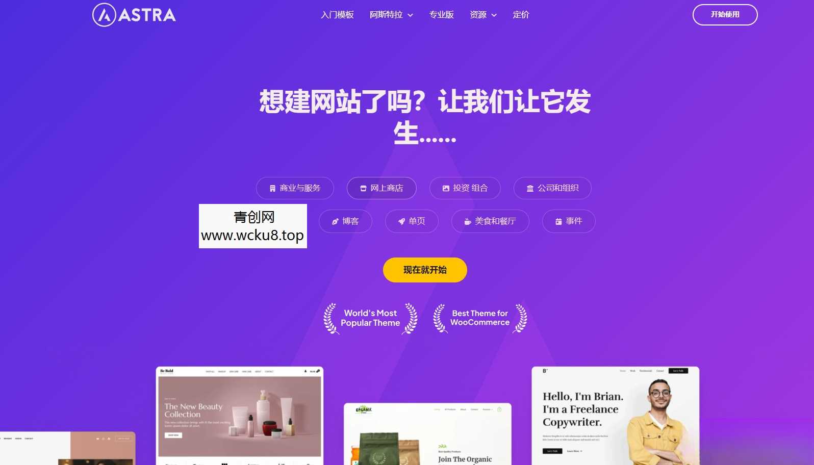 Astra独立站全套主题整理 带pro版插件网赚项目-副业赚钱-互联网创业-资源整合歪妹网赚