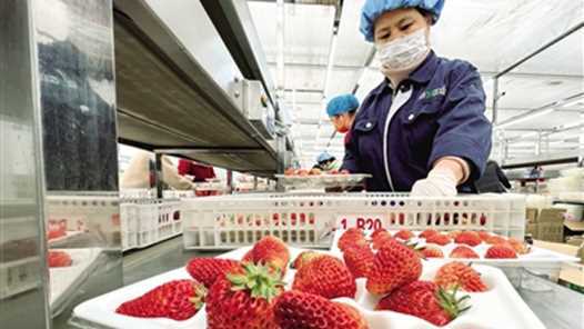 他们成了就业市场的“香饽饽”网赚项目-副业赚钱-互联网创业-资源整合歪妹网赚