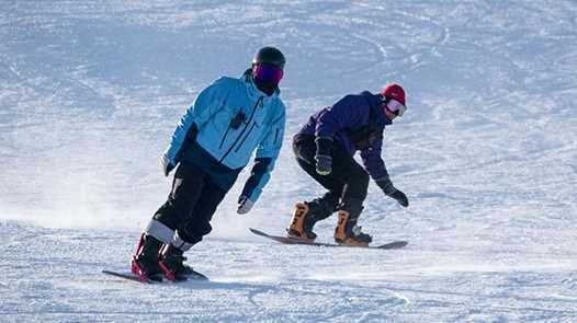 两部门联合开展“冰雪+文旅”产业系列人才供需对接活动网赚项目-副业赚钱-互联网创业-资源整合歪妹网赚