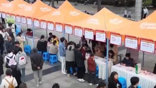 青岛今年力争城镇新增就业35万人网赚项目-副业赚钱-互联网创业-资源整合歪妹网赚